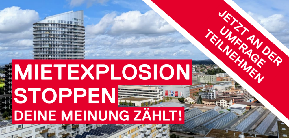 Wohnumfrage Dübendorf